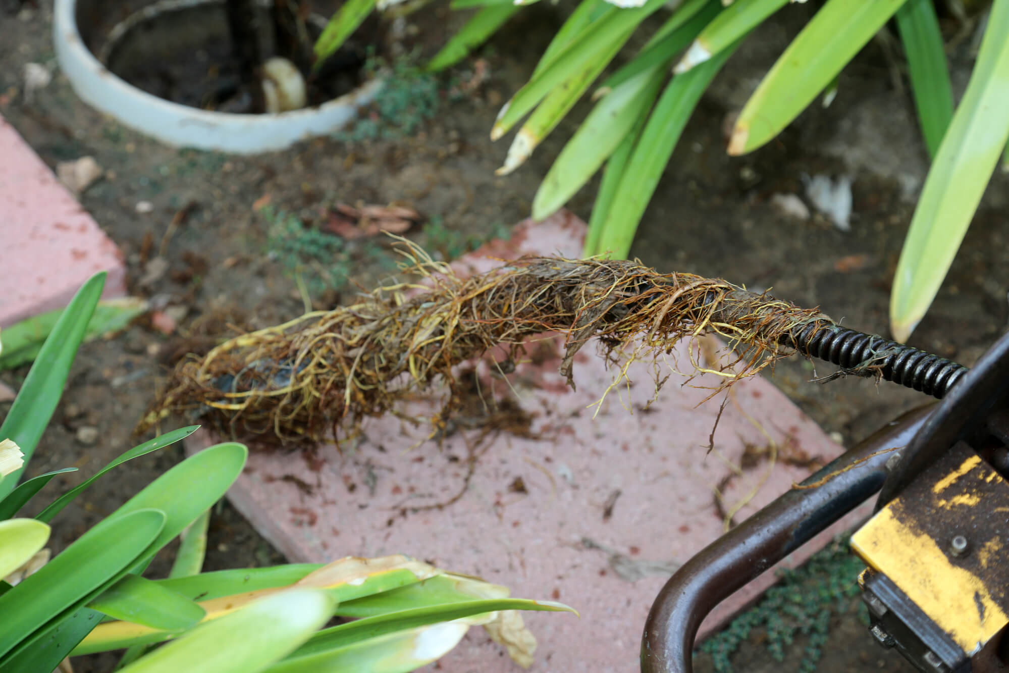 sewer line repair and replacement in Murrieta, CA.